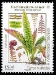 Stamp French Southern and Antarctic Lands (TAAF) Y&T N971