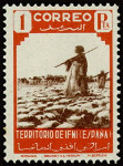 Stamp Y&T N24