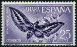 Stamp Y&T N211