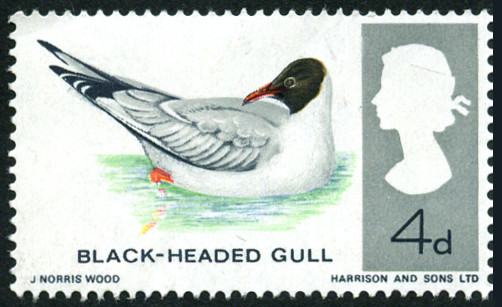 Timbre Grande Bretagne Y&T N�444