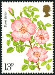 Stamp Y&T N798