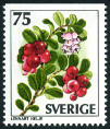 Timbre Y&T N976