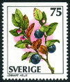 Timbre Y&T N978