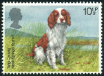 Briefmarken Y&T N881