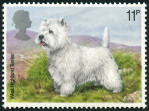 Stamp Y&T N882