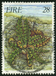 Timbre Y&T N590