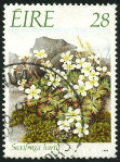 Timbre Y&T N658