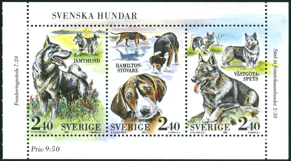 Timbre Sude Y&T NBF17