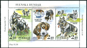 Timbre Sude Y&T NBF17