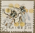Timbre Y&T N1595