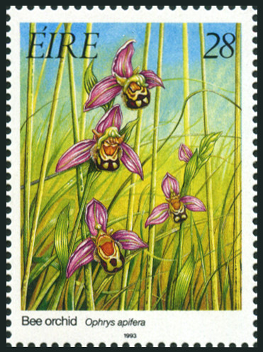 Timbre Irlande Y&T N°824 Timbre Irlande Y&T N°824