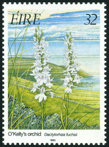 Timbre Irlande Y&T N°825 Timbre Irlande Y&T N°825