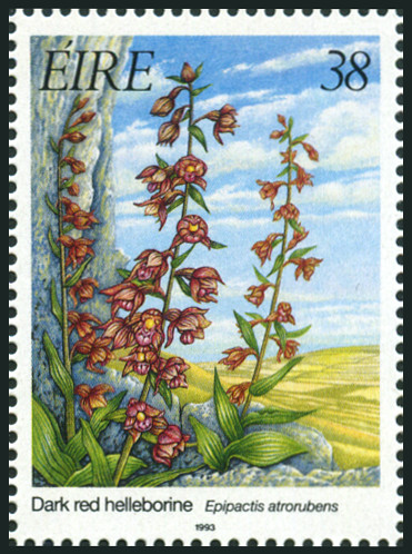 Timbre Irlande Y&T N°826 Timbre Irlande Y&T N°826