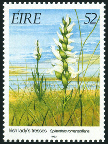 Timbre Irlande Y&T N°827 Timbre Irlande Y&T N°827