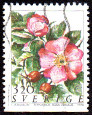 Timbre Y&T N1807
