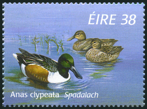 Timbre Irlande Y&T N°968 Timbre Irlande Y&T N°968