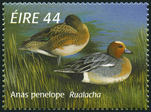 Timbre Irlande Y&T N°969 Timbre Irlande Y&T N°969