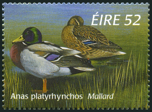 Timbre Irlande Y&T N°970 Timbre Irlande Y&T N°970