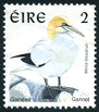 Timbre Y&T N1022
