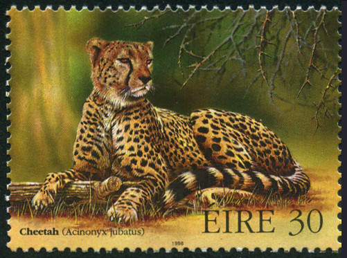 Timbre Irlande Y&T N°1106 Timbre Irlande Y&T N°1106