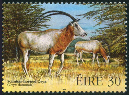Timbre Irlande Y&T N°1107 Timbre Irlande Y&T N°1107