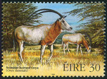 Timbre Y&T N1107
