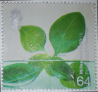 Timbre Y&T N2165