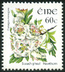 Timbre Y&T N1605