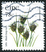 Timbre Y&T N1764