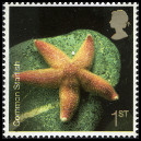 Timbre Y&T N2838
