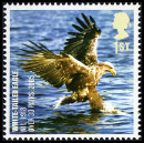 Briefmarken Y&T N2922