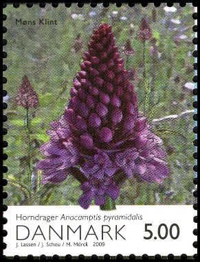 Timbre Danemark Y&T N1527