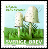 Timbre Y&T N3048