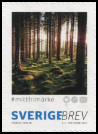 Timbre Y&T N3155
