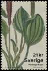 Timbre Y&T N3158