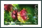 Stamp Y&T NA1707