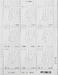 Timbre Y&T N°FLT118 Timbre Y&T N°FLT118