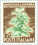Stamp Y&T N568