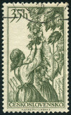 Timbre Y&T N872