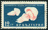 Stamp Y&T N1081