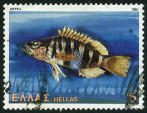 Timbre Y&T N�1435