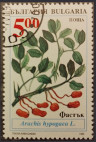 Timbre Y&T N3617