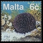 Timbre Y&T N�1054