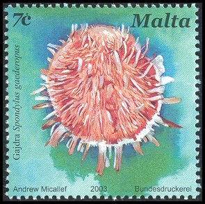 Timbre Malte Y&T N1267