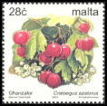 Timbre Y&T N�1224