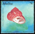Timbre Malte Y&T N1260