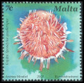 Timbre Malte Y&T N1267
