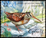 Timbre Y&T N2009-008