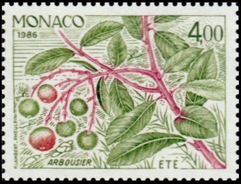 Sello Monaco Y&T N°1558 Sello Monaco Y&T N°1558