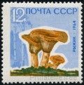Stamp Y&T N2884a